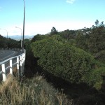 Ngaio Gorge retaining wall Ngaio Gorge retaining wall