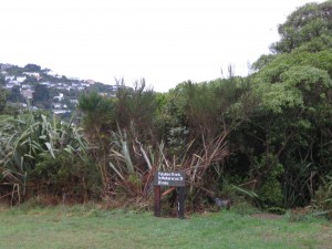 Pukatea Track entrance from Orleans St Reserve