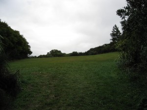 Do you know where this reserve is? What about going to have a look?  The entrance is off Orleans Street.