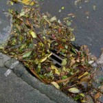 Blocked sump in Ngaio, 31 May Blocked sump in Ngaio, 31 May