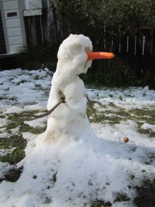 Snowmen of Ngaio 16 Aug 2011
