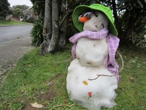 Snowmen of Ngaio 16 Aug 2011