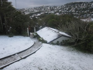 The snowy roofs of Ngaio, 16 August 2011