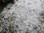 Hailstones Ngaio 13 Sep 2011 02