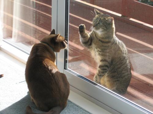 HMoore-Barnum-inside-Hector-outside