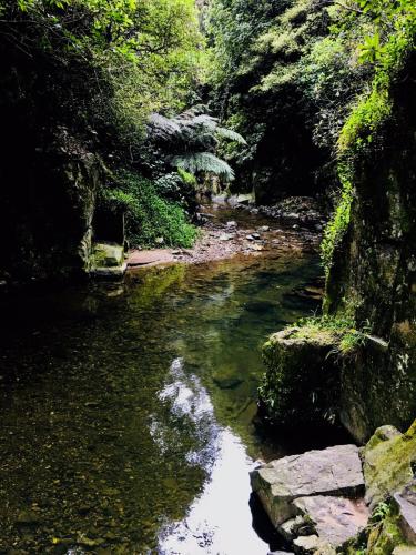 Trelissick-Park