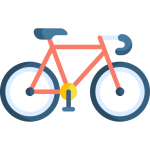 Sustainable Transport