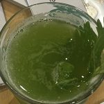 Plant-based Eating